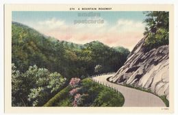 A Mountain Roadway, Scenic American Road C1950s Vintage Asheville Postcard M8558 - Andere & Zonder Classificatie