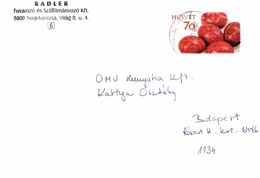 Hungary Letter 2008 ... Ai239 - Briefe U. Dokumente