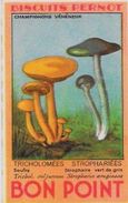 Chromo Champignon Mushroom 8 X 5 Texte Explicatif Au Dos Bon Point PERNOT - Other & Unclassified