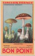 Chromo Champignon Mushroom 8 X 5 Texte Explicatif Au Dos Bon Point PERNOT - Other & Unclassified