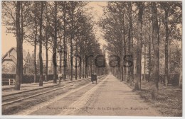 Belgium - Merksplas - Merxplas Colonie - Dreve De La Chapelle - Merksplas