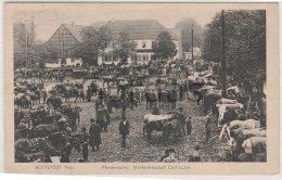 Germany - Buttstadt - Pferdemarkt - Marktwirtschaft Carl Lutze - Sömmerda
