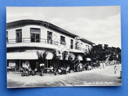 Delcampe - Cartolina Marina Di Ronchi - 1960 Ca. - Massa