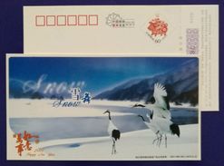 Red-crowned Crane Bird In Snowland,China 2007 Harbin Post Office New Year Greeting Pre-stamped Card - Grues Et Gruiformes