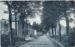 Paliseul - Route De Maissin - Carte Bleutée - Circulé 1909 - Edit. Bodson, Paliseul - SUPER ! - Paliseul