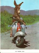 Delcampe - 79388 REAL PHOTO MOTORCYCLE MOTO MOTONETA SIDECAR AND DONKEY POSTAL POSTCARD - Motorräder