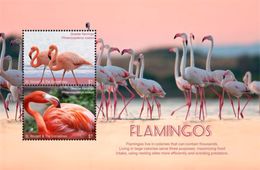 St.Vincent & The Grenadines 2017 Animals & Fauna Birds Flamingo - Flamants