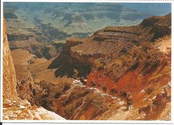 CPM Grand Canyon, National Park, Arizona - Mule Ride - Balade à Cheval, Randonnée équestre - Grand Canyon