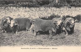 78-RAMBOUILLET- FERME NATIONALE - MERINOS - Rambouillet