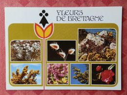 Dep 29 , Cpm  Fleurs De BRETAGNE , D.712  , Multivues  (01.115) - Non Classés