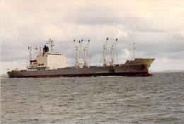 ** Lot Of  2 ** BATEAU DE COMMERCE  Bateau Cargo Merchant Ship Tanker AKEBONO STAR - Photo (1996) Format CPM - Cargos