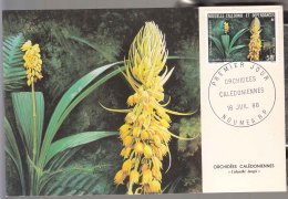 French New Caledonia Caledonie 1986 FDC Card (Premier Jour) Flowers (Orchidees) - Covers & Documents