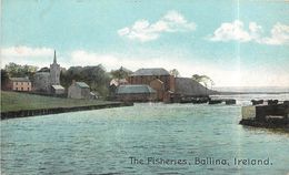 THE FISCHERIES BALLINA. - Mayo