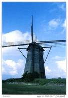 59. LES MOËRES (Hondschoote) - Moulin/molen - Image Historique (1960) Du Moulin Octogonal D'assèchement "du Danube" - Hondshoote