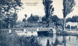 76 BLANGY-SUR-BRESLE - Vue De La Bresle - Animée - Blangy-sur-Bresle