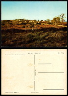 Delcampe - PORTUGAL COR 52190 - ALMEIDA - VISTA PARCIAL  DA VILA - Guarda