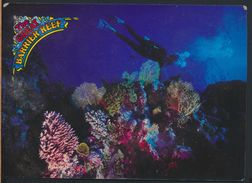 °°° 8693 - AUSTRALIA - QUEENSLAND - THE GREAT BARRIER REEF °°° - Great Barrier Reef
