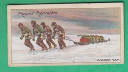 John Player, Player's Cigarettes, Polar Exploration - A Sledge Team On The King Edward VII. Plateau - Player's