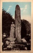 29 - PLOZEVET - Le Monument Aux Morts - Plozevet