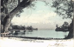 Carte Postale Ancienne De LAC De THOUNE (THUNER SEE) - Thun