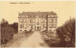 GRANDMETZ - Leuze-en-Hainaut - Leuze-en-Hainaut