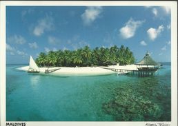 (V) Maldives - Photo Michael Friedel - Carte 15,3 X 11 - Maldiven