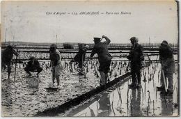 CPA Ostréiculture Huitres Métier Huitre Circulé Arcachon - Kunsthandwerk