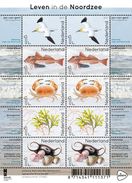 Nederland / The Netherlands - Postfris / MNH - Sheet Leven In De Noordzee 2017 - Nuovi