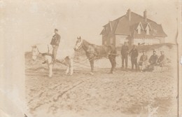 Souvenir Du Front - Bel Attelage - Carte Photo à Localiser - A Identifier