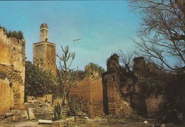 MAROC---RABAT---ruines De Chellah--voir 2 Scans - Rabat