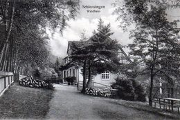 Thuringen, Schleusingen, Waldhaus, Verlag Kleemann - Schleusingen