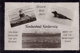 Norderney - S/w Mehrbildkarte 18   Seehundsbank - Norderney