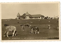 S6876 - Saignelégier - Halle Aux Marchés- Concours De Chevaux Et Aux Foires - Saignelégier