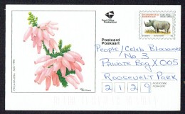 1992  Illustrated Postcard  Flowes Domestic Use - Storia Postale