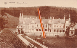 CHATELET - Château De Presles - Chatelet