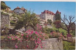 SUISSE,SWITZERLAND,SWISS, HELVETIA,SCHWEIZ,SVIZZERA ,FRIBOURG,GRUYERES,TERRAIN - Fribourg