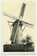 Hamont   *  Molen Coolen Moulin - Hamont-Achel