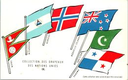 FANTAISIES - DRAPEAUX -- Népal - Nicaragua - Norvège - Nouvelle Zelande - Pakistan  - Panama - Other & Unclassified