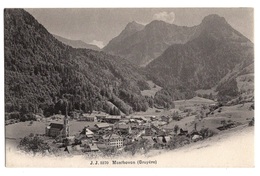 SUISSE - MONTBOVON, Vue Générale, Pionnière - Montbovon