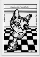 CPM échecs Chess Non Circulé Chat Cat - Echecs