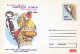 66268- GREAT SPOTTED WOODPECKER, BIRDS, COVER STATIONERY, 2004, ROMANIA - Specht- & Bartvögel