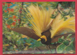 219596 / 3D STEREO Lenticular Picture Pc  BIRD ANIMALS , USED 1971 Germany Deutschland Allemagne Germania - Cartes Stéréoscopiques