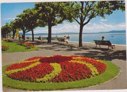 SUISSE,SWITZERLAND,SWISS,HELVETIA,SCHWEIZ ,SVIZZERA, NEUCHATEL,BANC PUBLIC,OSTERWALD - Neuchâtel