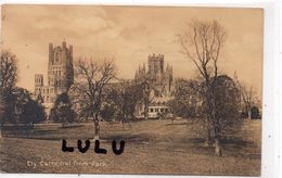 ANGLETERRE :  Ely Cathédral From Park - Ely