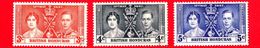 HONDURAS - Usato - 1937 - Incoronazione Di Re Giorgio VI E Della Regina Elisabetta - Serie Completa - Honduras Británica (...-1970)