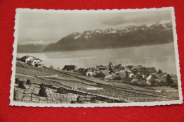 Vaud Grandvaux Et Les Alpes 1956 Ed. Perrochet - Grandvaux