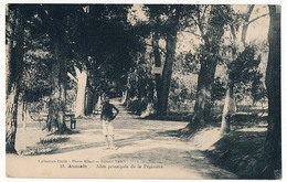 CPA - ALGERIE - Aumale - Allée Principale De La Pépinière - Other & Unclassified