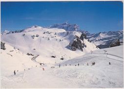 SUISSE,SWITZERLAND,SVIZZERA,SCHWEIZ,HELVETIA,VAUD,AIGLE,VILLARS SUR OLLON,CHESIERES,PISTE SKI,COL BRETAYE - Ollon