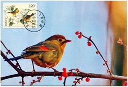 China 2016 Acacia Birds Maxmum Card - Specht- & Bartvögel