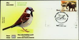 BIRDS-HOUSE SPARROW-SPECIAL COVER-DELHI-INDIA-2012-IC-203 - Moineaux